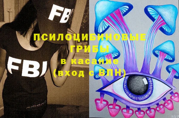 PSILOCYBIN Пересвет