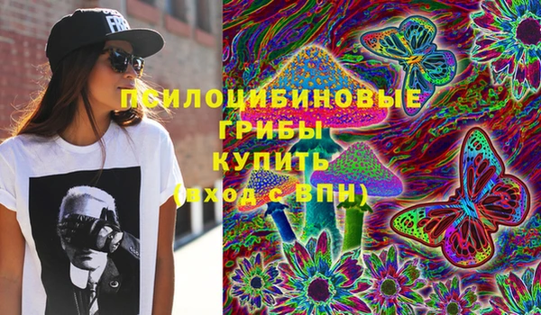 винт Алзамай