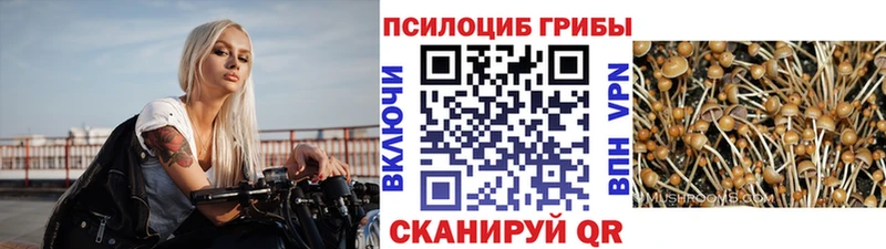 что такое   Аргун  Псилоцибиновые грибы мухоморы 